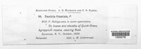 Puccinia graminis image